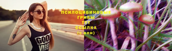 шишки Алзамай