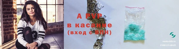 шишки Алзамай